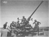 3.7 cm Flak 36/37 Westerwald picture 2