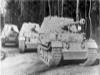 Ferdinand / Elephant Sd.Kfz. 184 picture 3