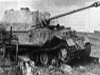 Ferdinand / Elephant Sd.Kfz. 184 picture 5