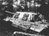 Jagdtiger Sd.Kfz. 186 picture 4