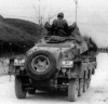 Sd.Kfz. 231 (8-Rad) Schwere Panzersphwagen picture 6