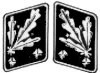 SS-Obergruppenfhrer Collar